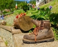 Get creative by turning your old sneakers into a flower planter!