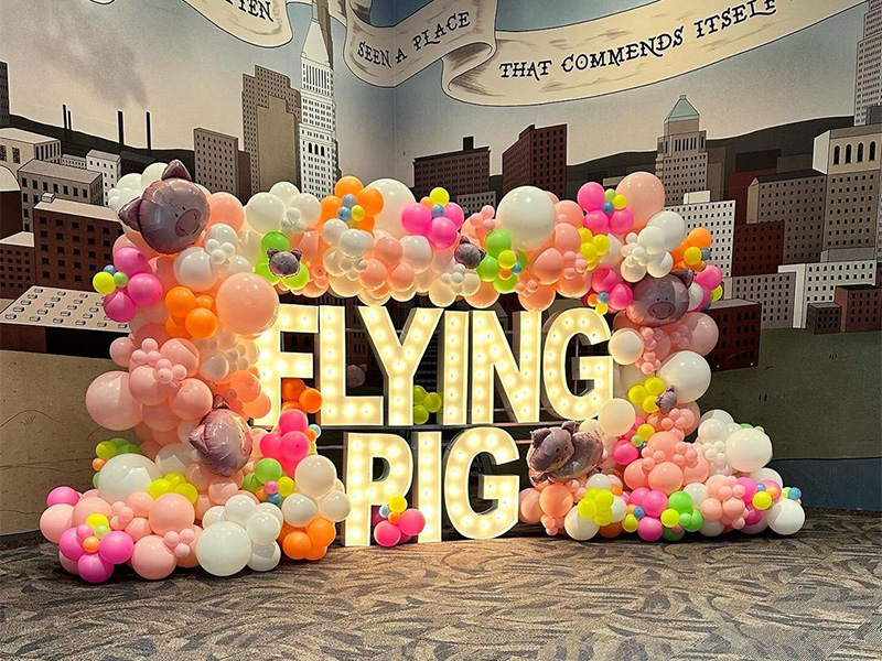 Flying Pig 1