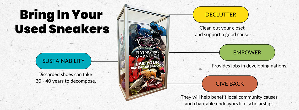 Flying Pig Shoe Collection Box