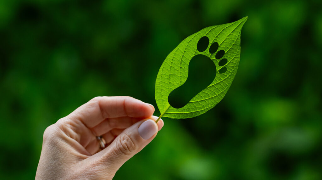 Conceptual image of a footprint in a leaf symbolizing love for nature and concern for CO2 emissions.