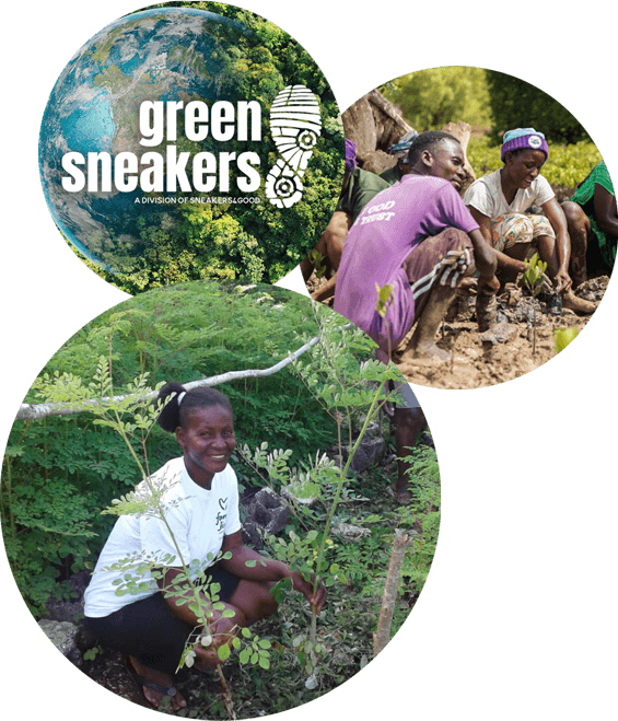 Sneaker Reuse COllage Collage