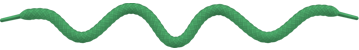 Green Shoe Lace