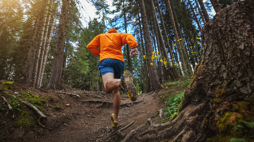 A man running along a trail in a forest.