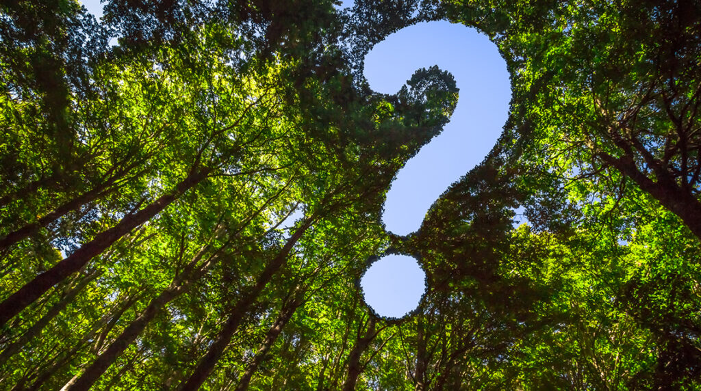 Green forest canopy with a question mark-shaped opening in the trees, representing questions around sustainability and environmental responsibility.