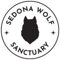 sedona-wolf-sancturay